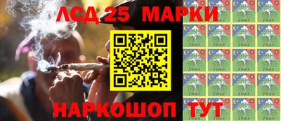 стафф Новозыбков