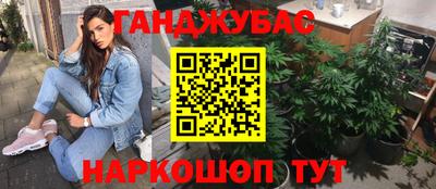 a pvp Новодвинск