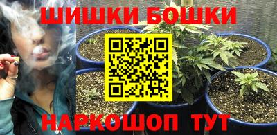 a pvp Новодвинск