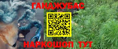стафф Новозыбков