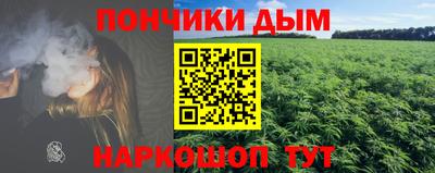 a pvp Новодвинск