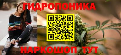 a pvp Новодвинск