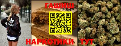стафф Новозыбков