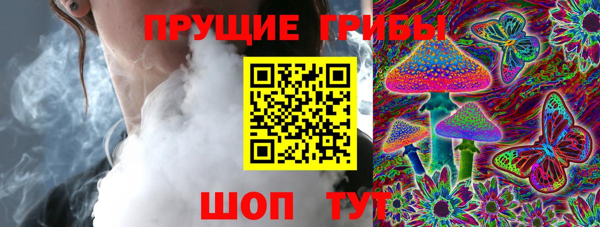 закладка  Вход с VPN  Свободный  Галлюциногенные грибы Magic Shrooms 